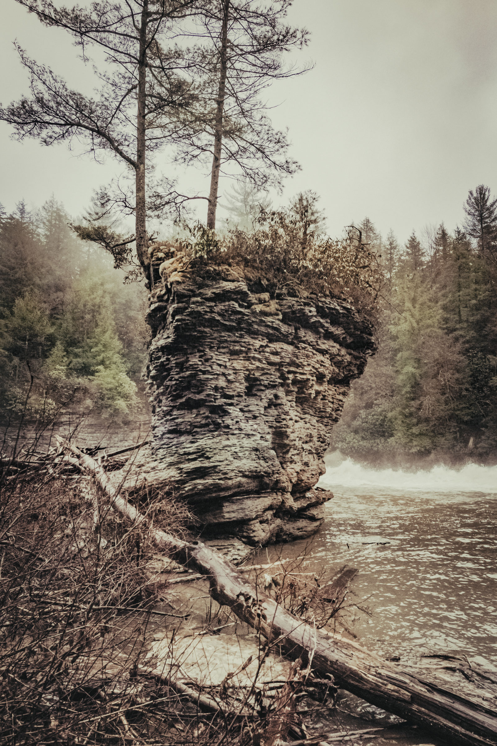 Hemlock Repose / This Pocketful of Dust