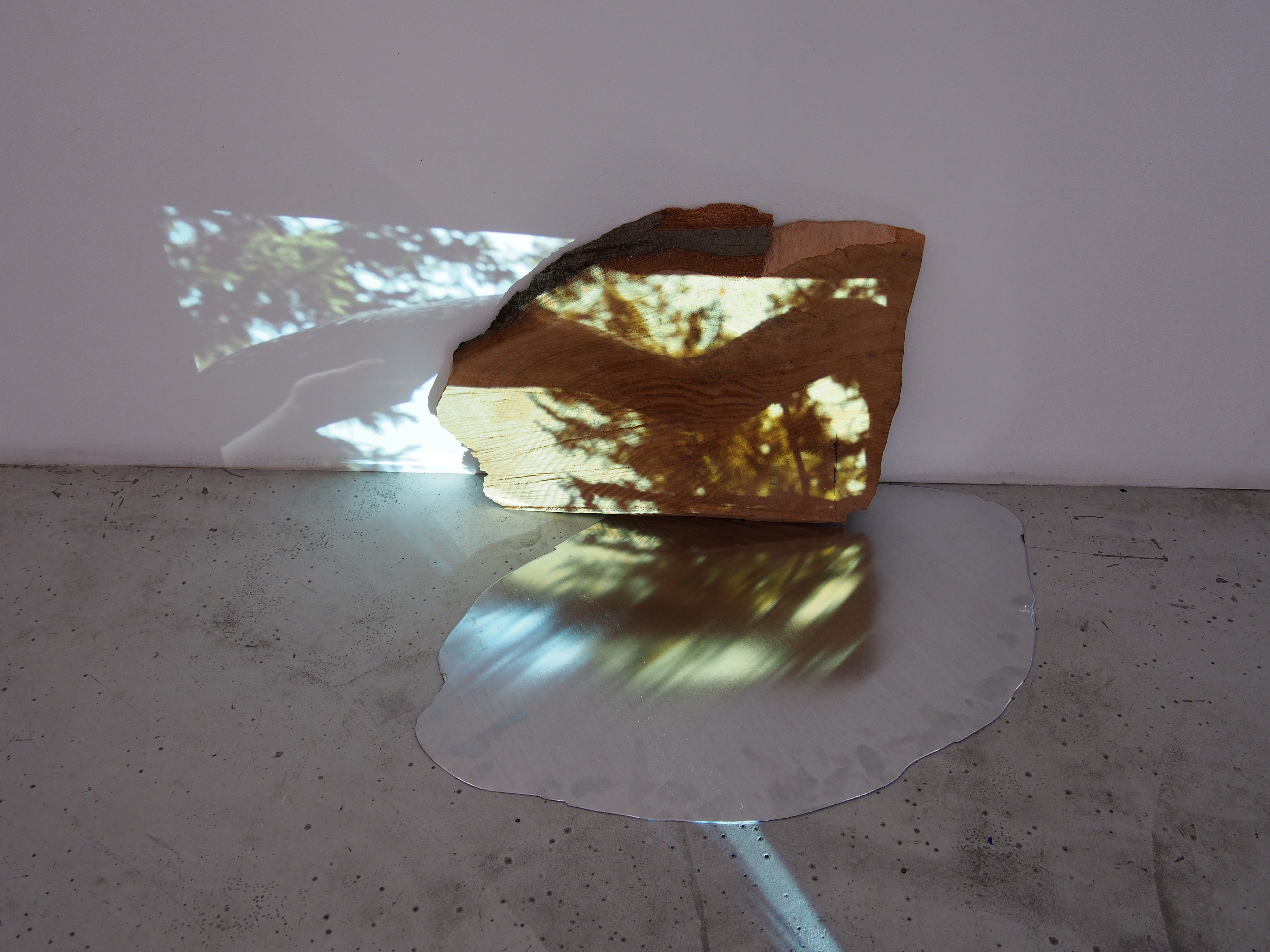 Taylor Alaina Liebenstein Smith et Christopher Alexander Kostritsky Gellert - A clear cut (we are unmade) - 2022