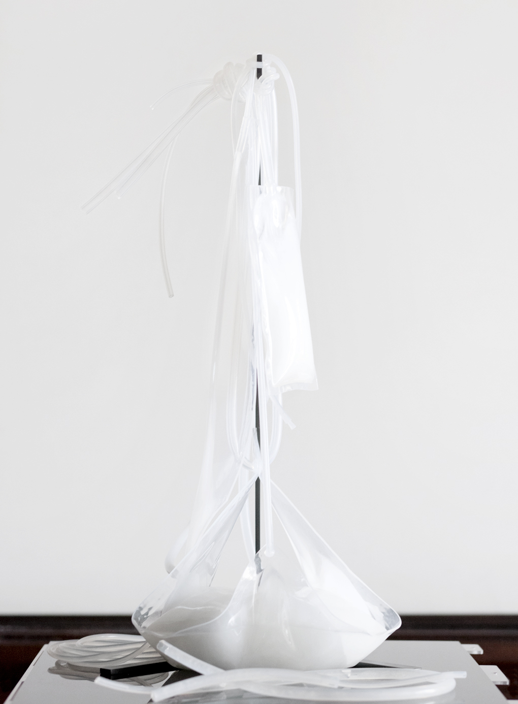 [Installation view: Antarctic Pavilion, 57th Venice Biennale, 2017.  Via self-assembly - Silicone, sodium acetate trihydrate, steel and bottled water.  Supported by the European Cultural Foundation]