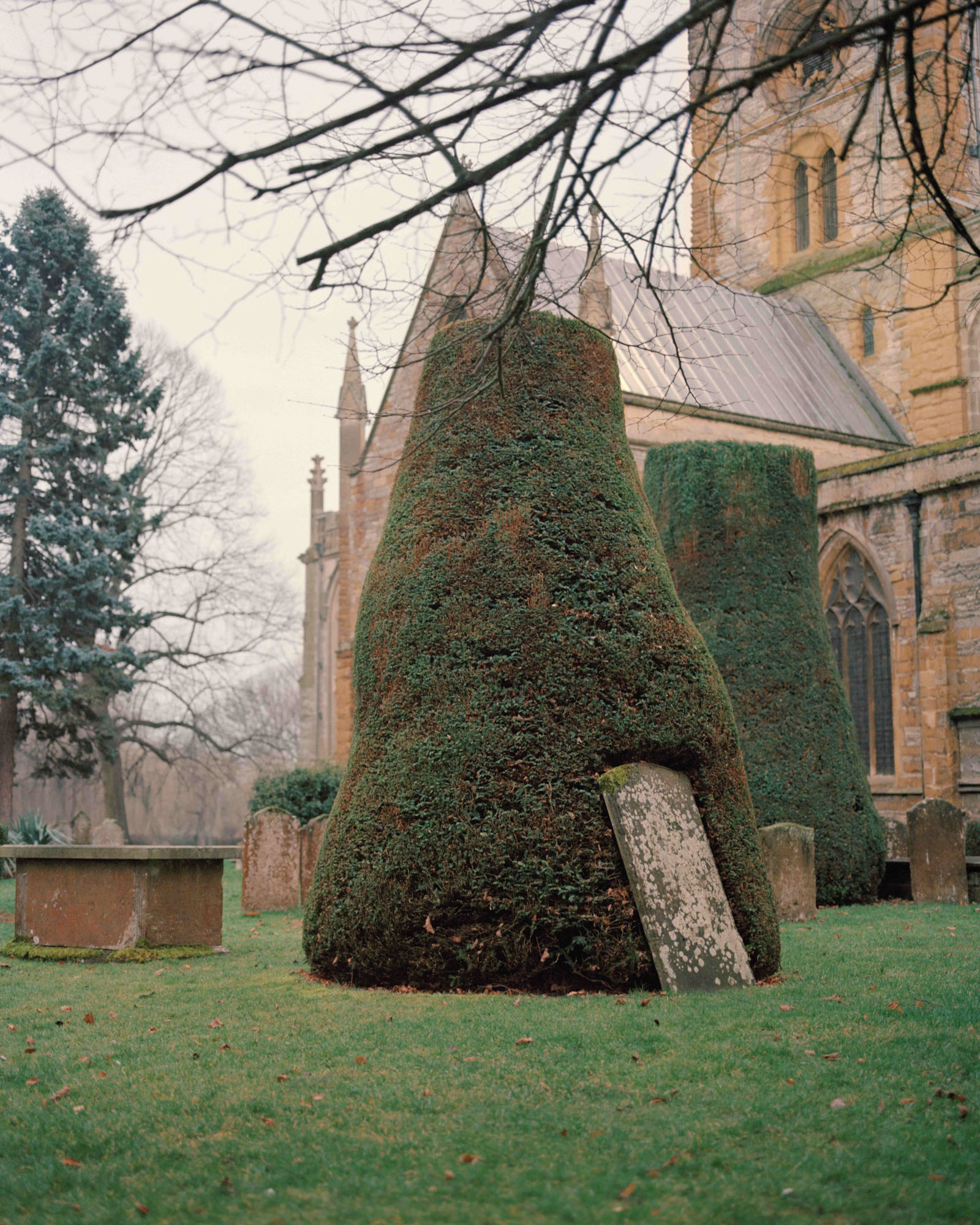 Sometimes A Silence Will Cut Through Sounds