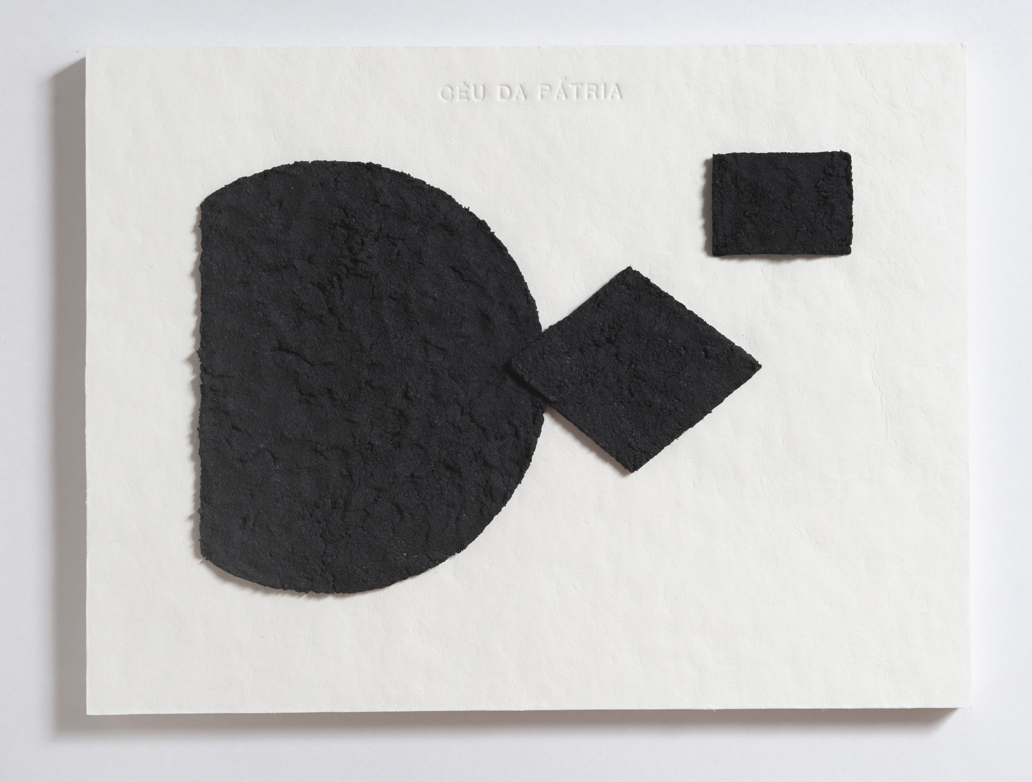 2020 l Céu da Pátria  l Carvão e aglutinante sobre papel cartão l 40x30 cm