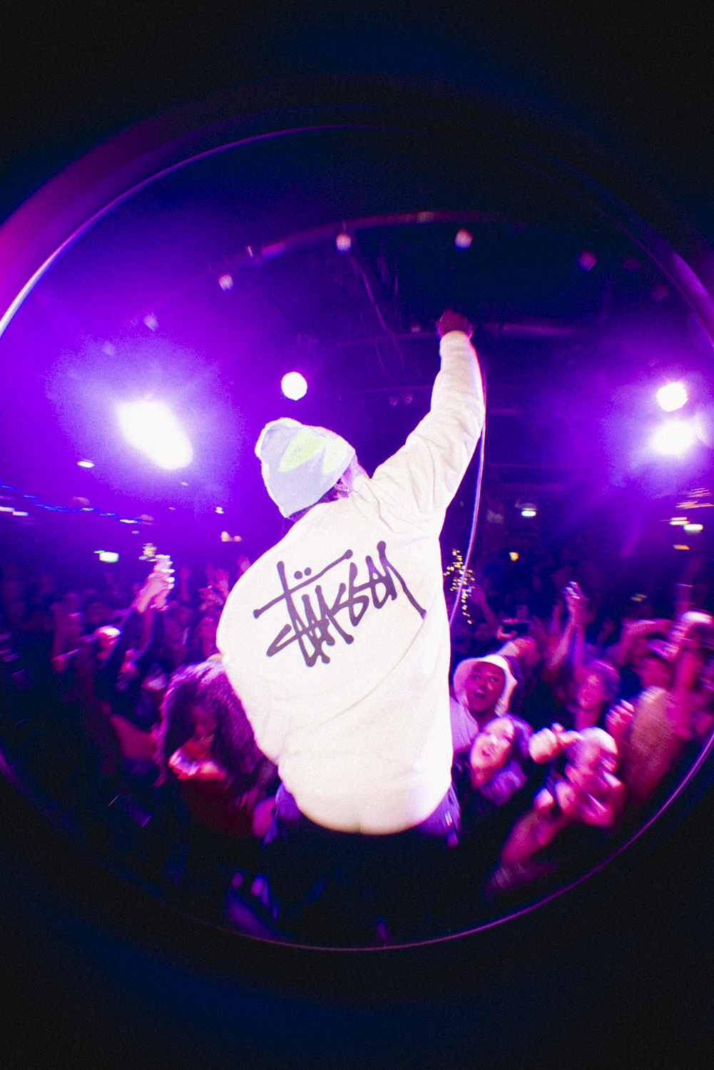 IT'S A CHAMOMILE CHRISTMAS PARTY