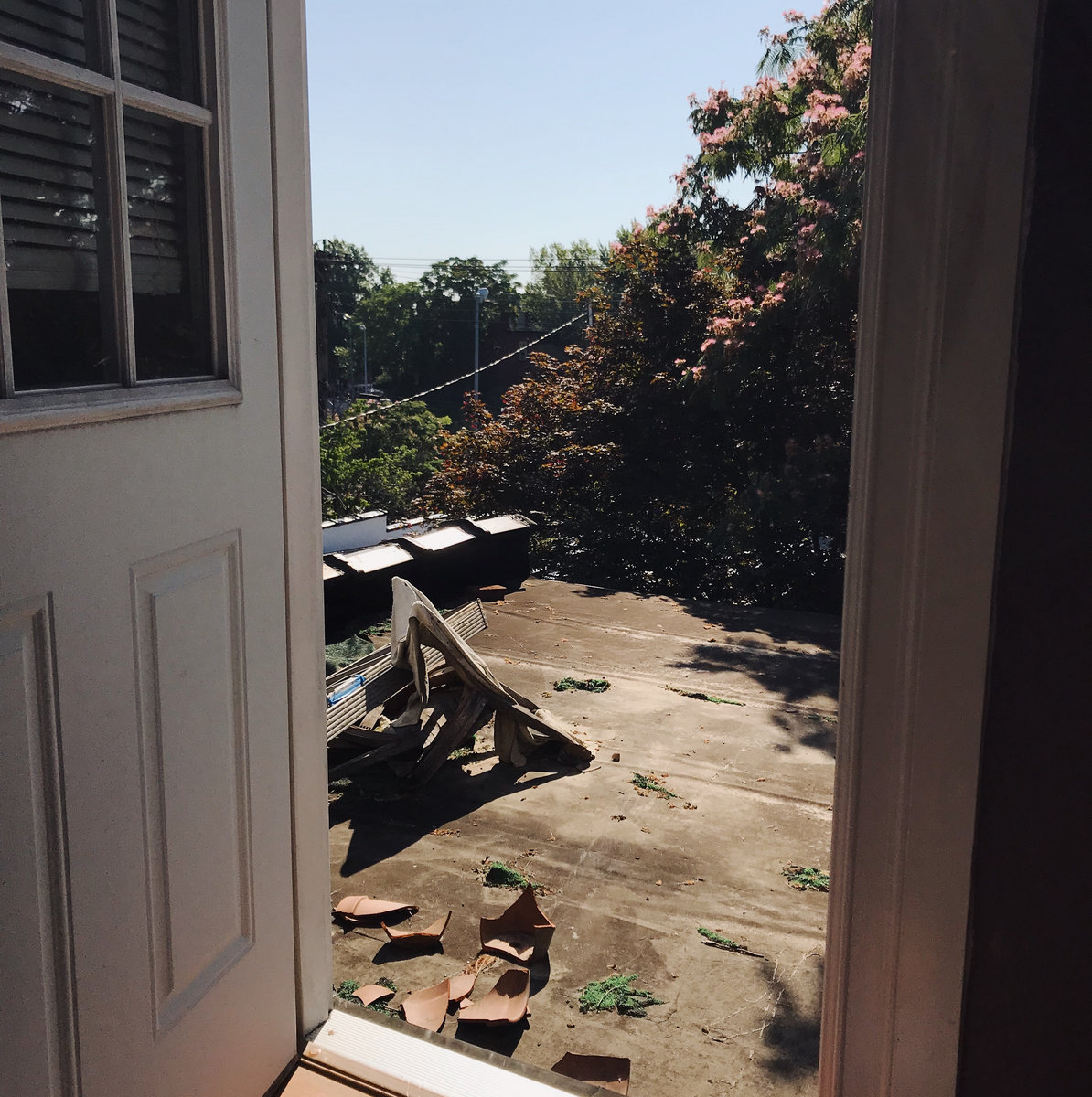 claire rousay a moment in st louis and a moment at the beach