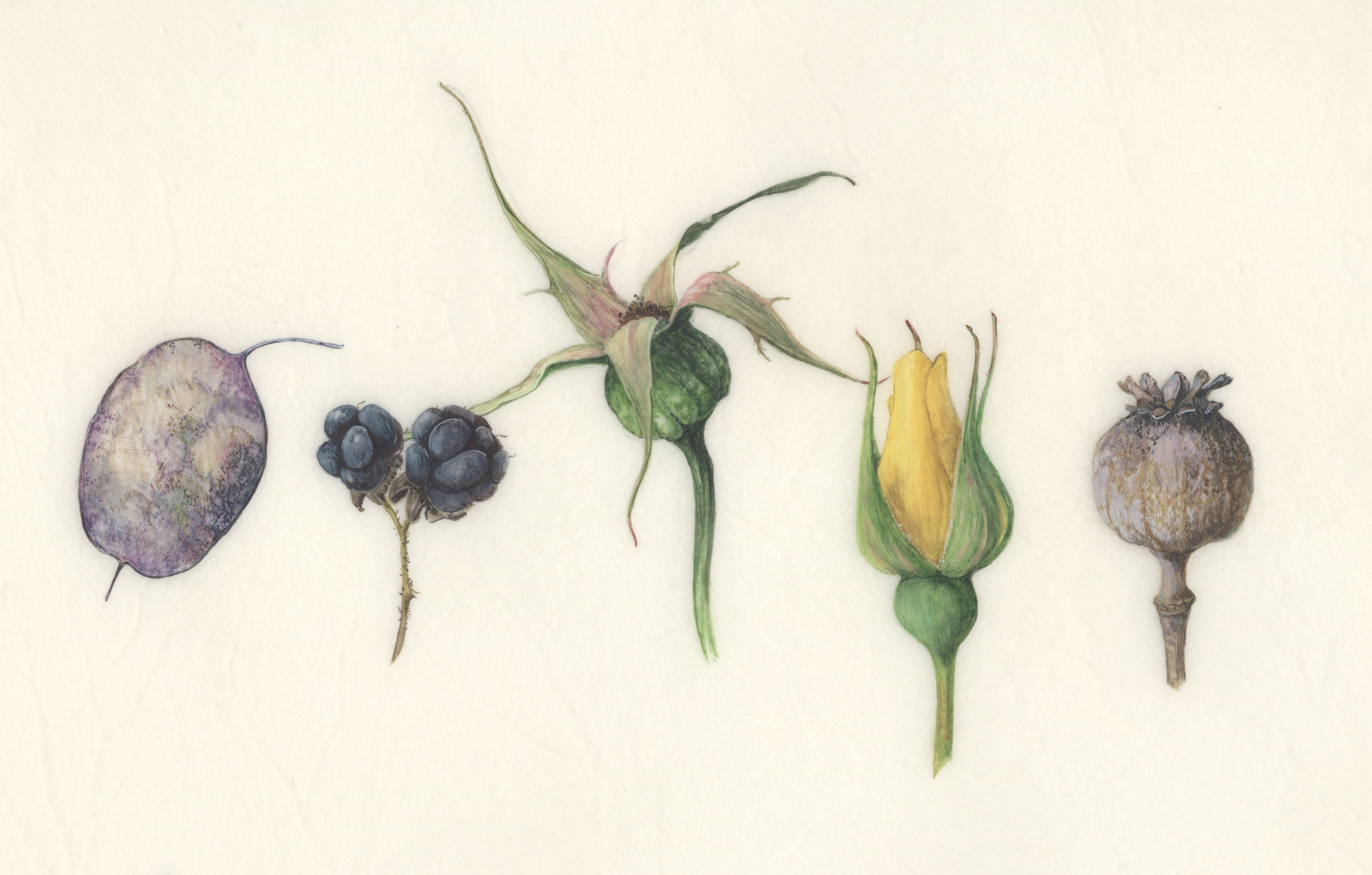 Sign of the times september