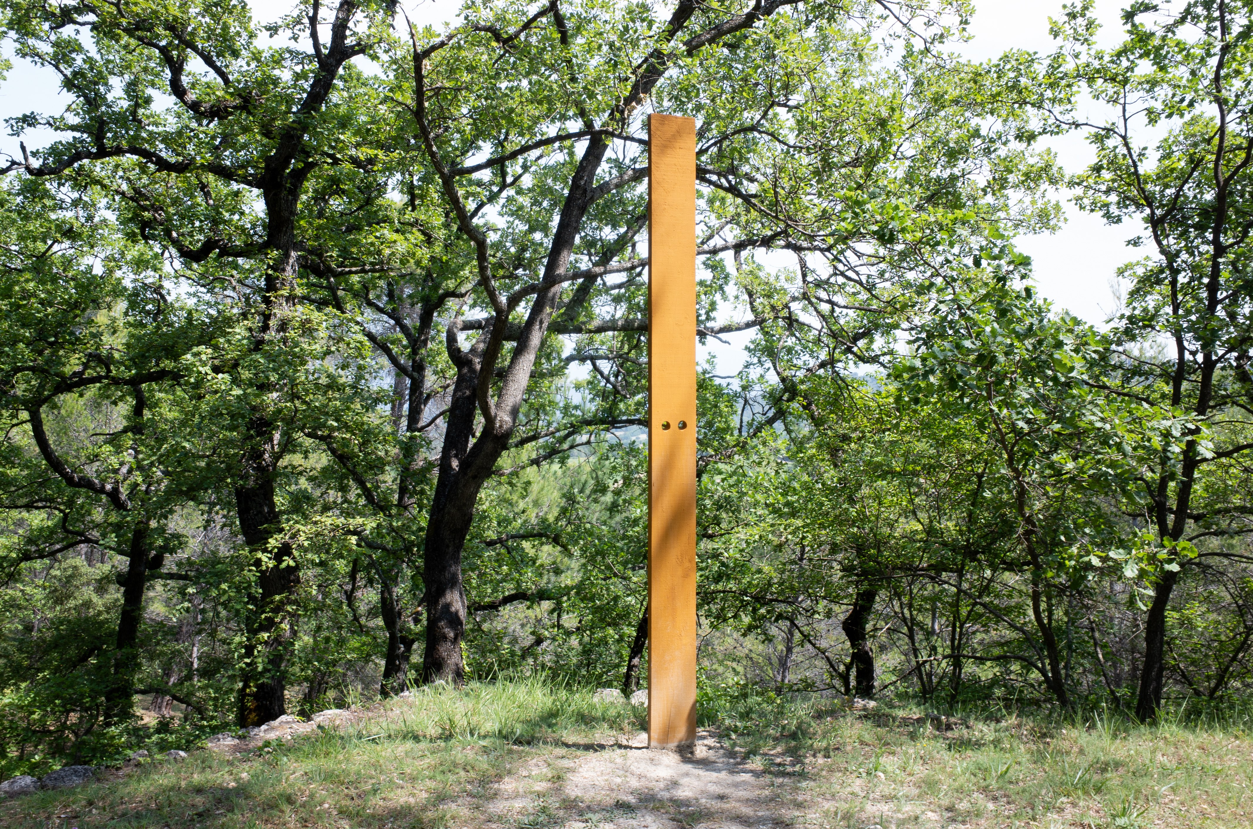 Les yeux en face des trous, Château La Coste, 2025