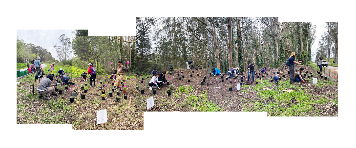 March 2023 / planting day (video here)