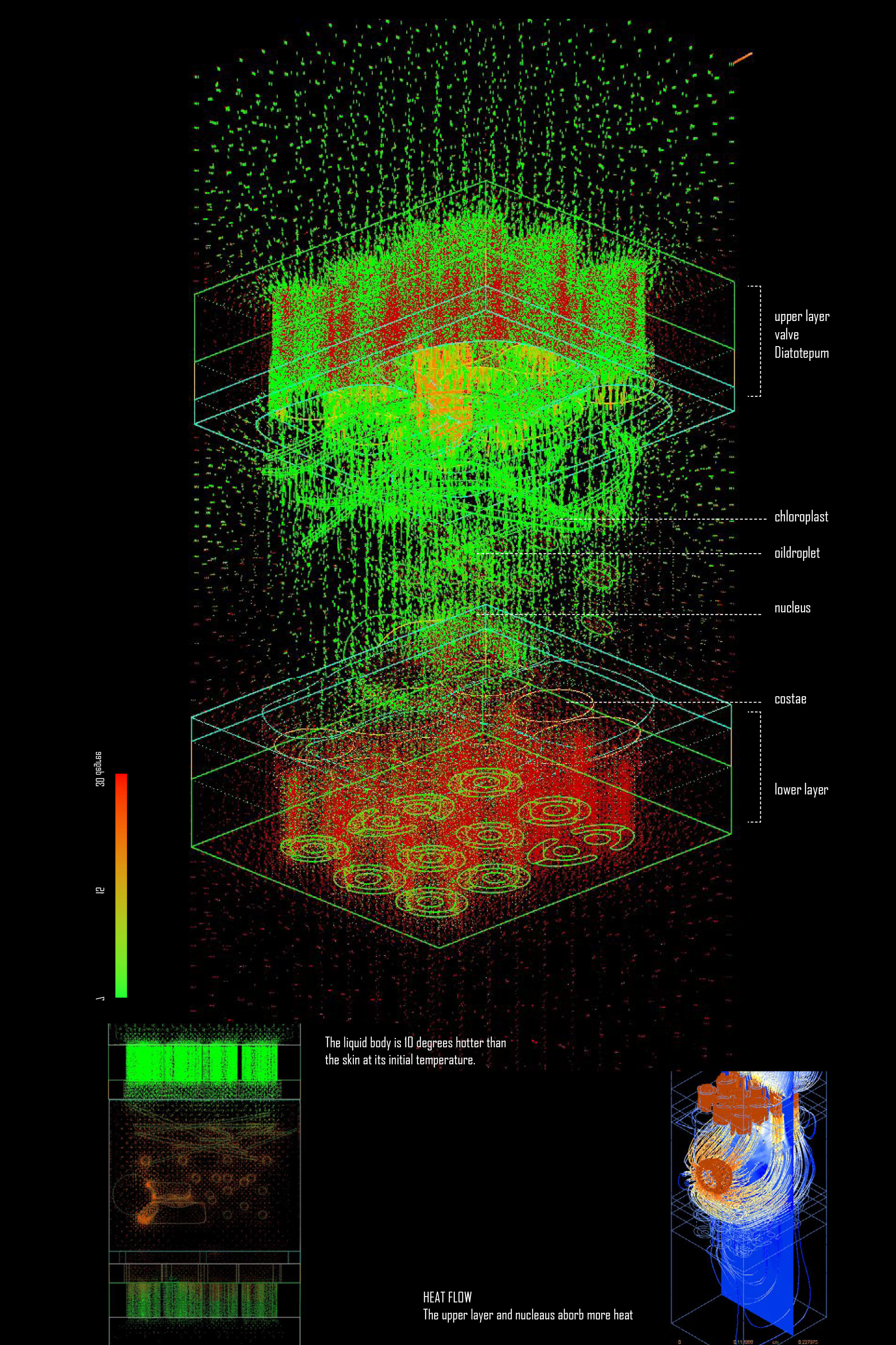 CFD Visualization: Diatom Pore Heat Transfer Simulation.