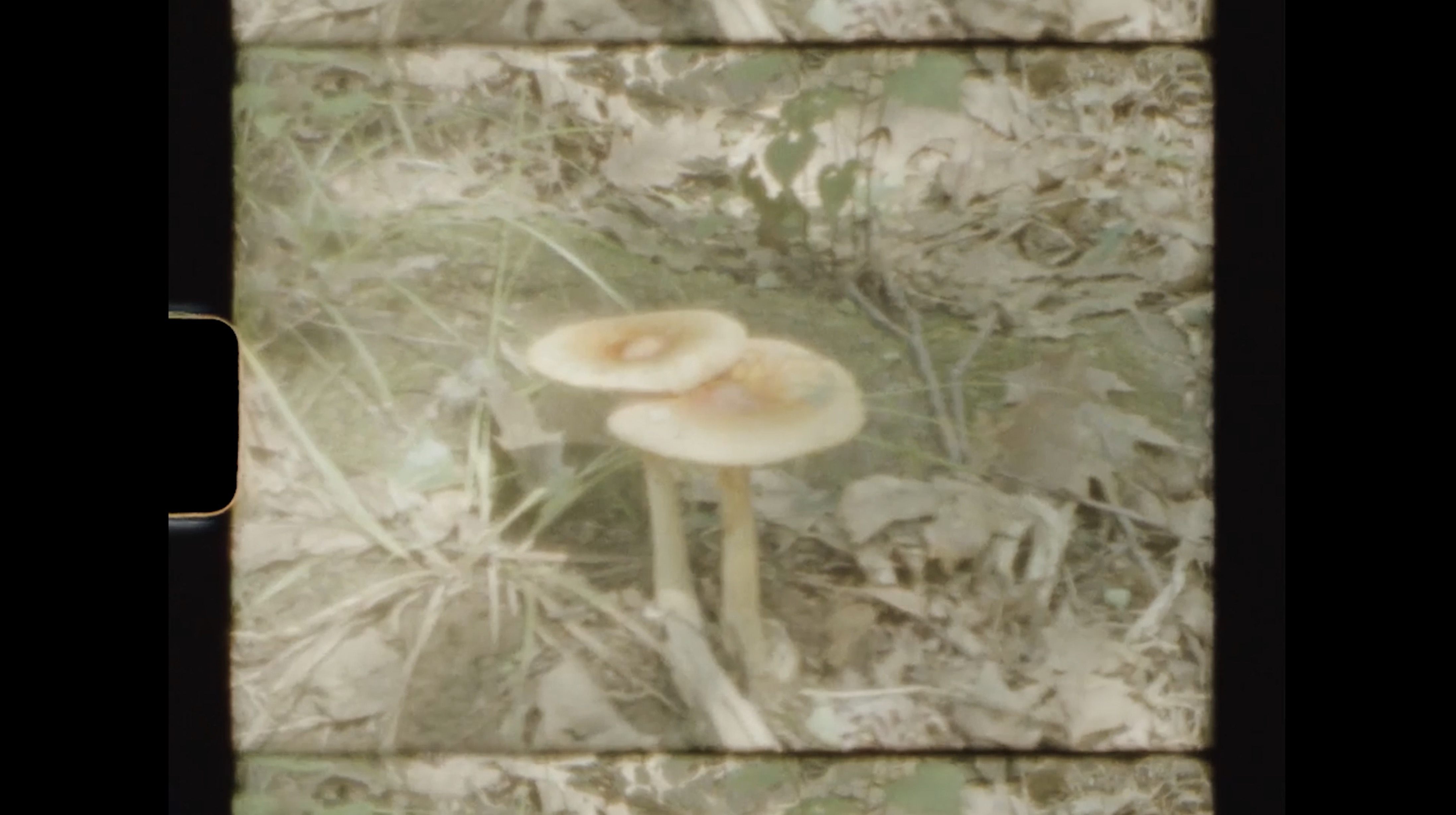 Abbey Meaker, Water light passing (still), 2023, Scanned super 8mm film, 6:34