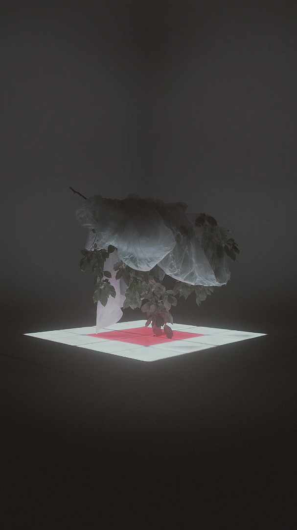 John Mark McMillan / Jared Hogan, production design