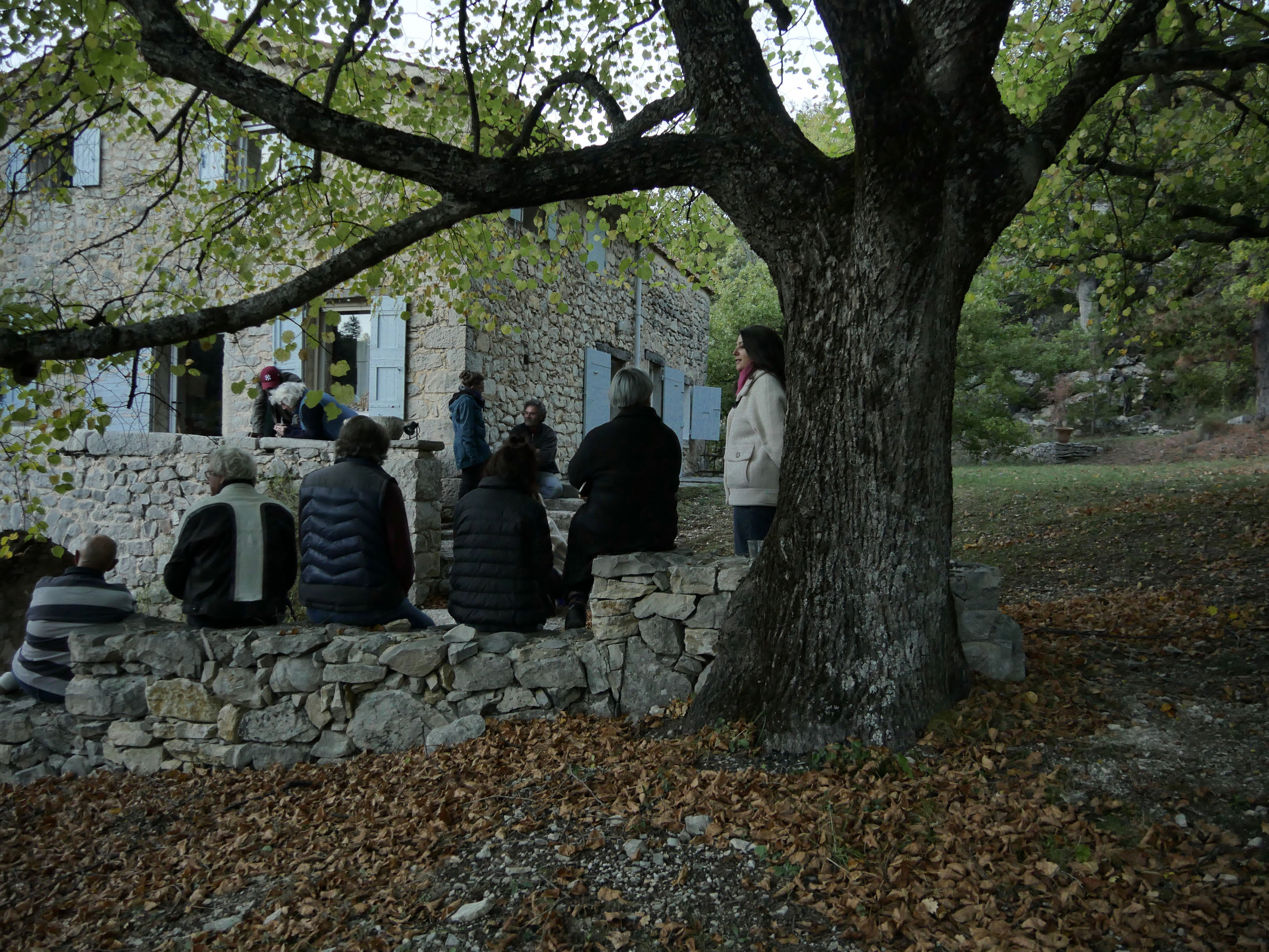 photo ©Louisa Faraud