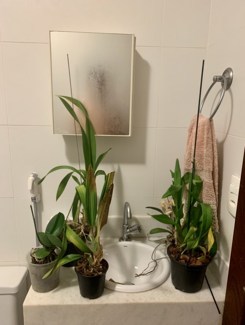 Composição dupla com espelhos, 2021