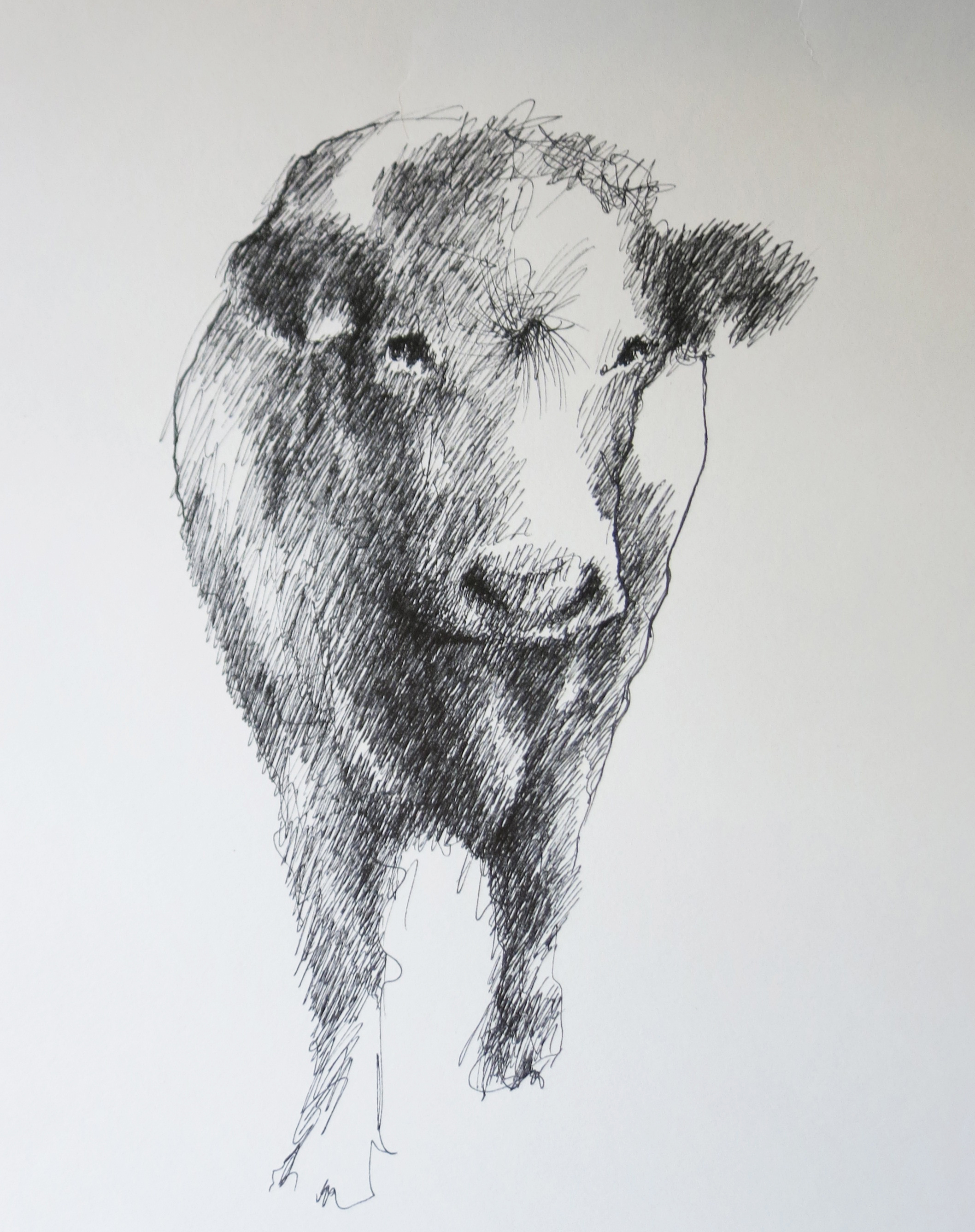  Ink on paper &ndash; 11&rdquo; x 8&rdquo; 