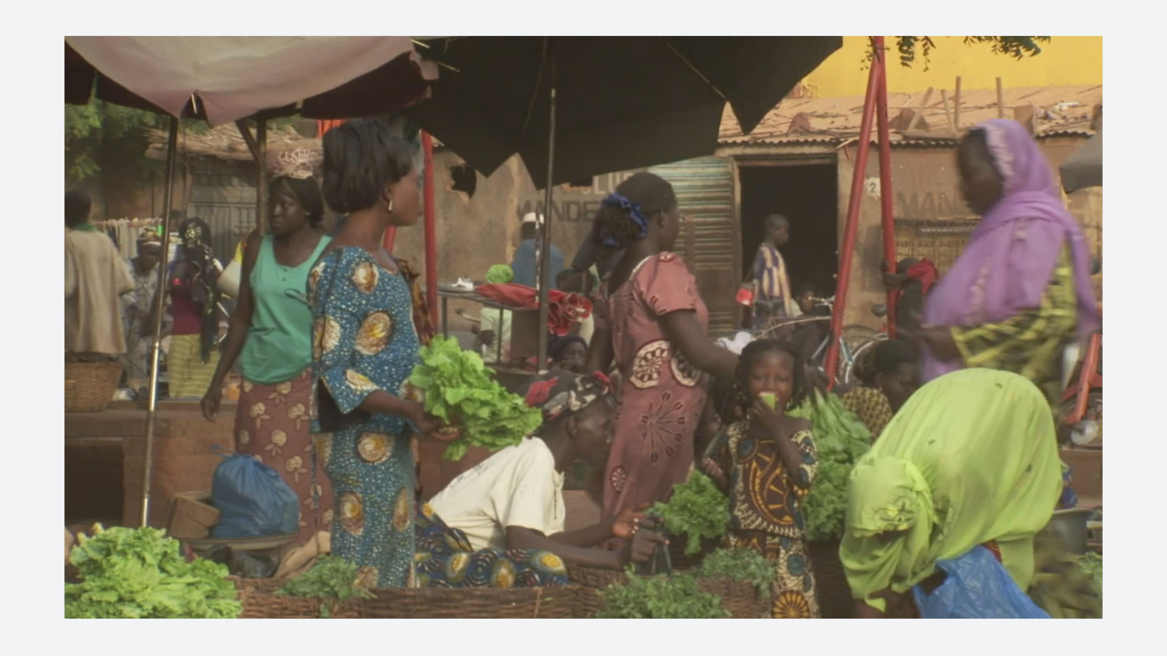 Fig. 31. View of a “Zai” market on the outskirts of Ouahigouya. Source: The Man Who Stopped the Desert, directed by Mark Dodd (2010; Burkina Faso:1080 Film & Television)