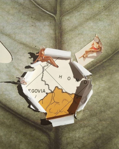 patriciaperezcollage