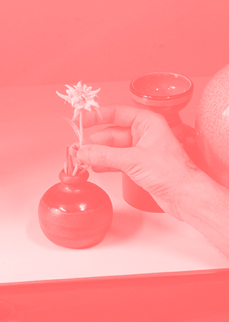 Garde Rose, 2012 —