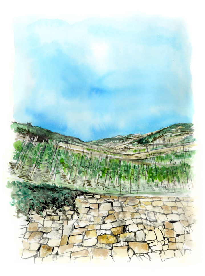 Toast Magazine, Air France