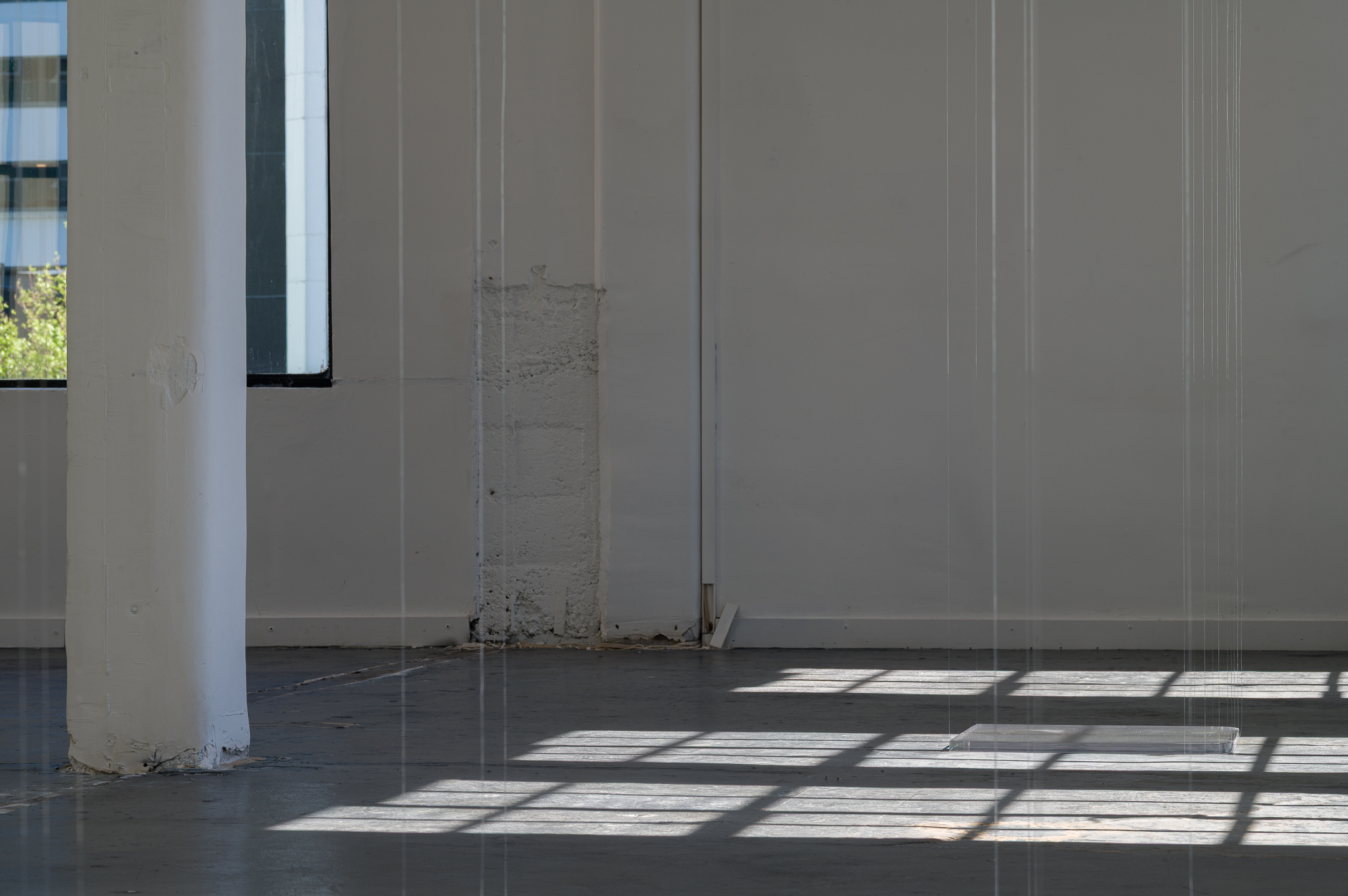 Outset, installation view, Level 4, 99 Willis Street, 3:55PM, 11 November 2025