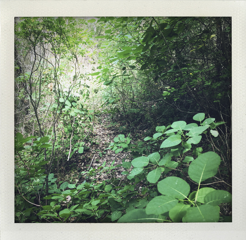 Esparron de Verdon 07/2020