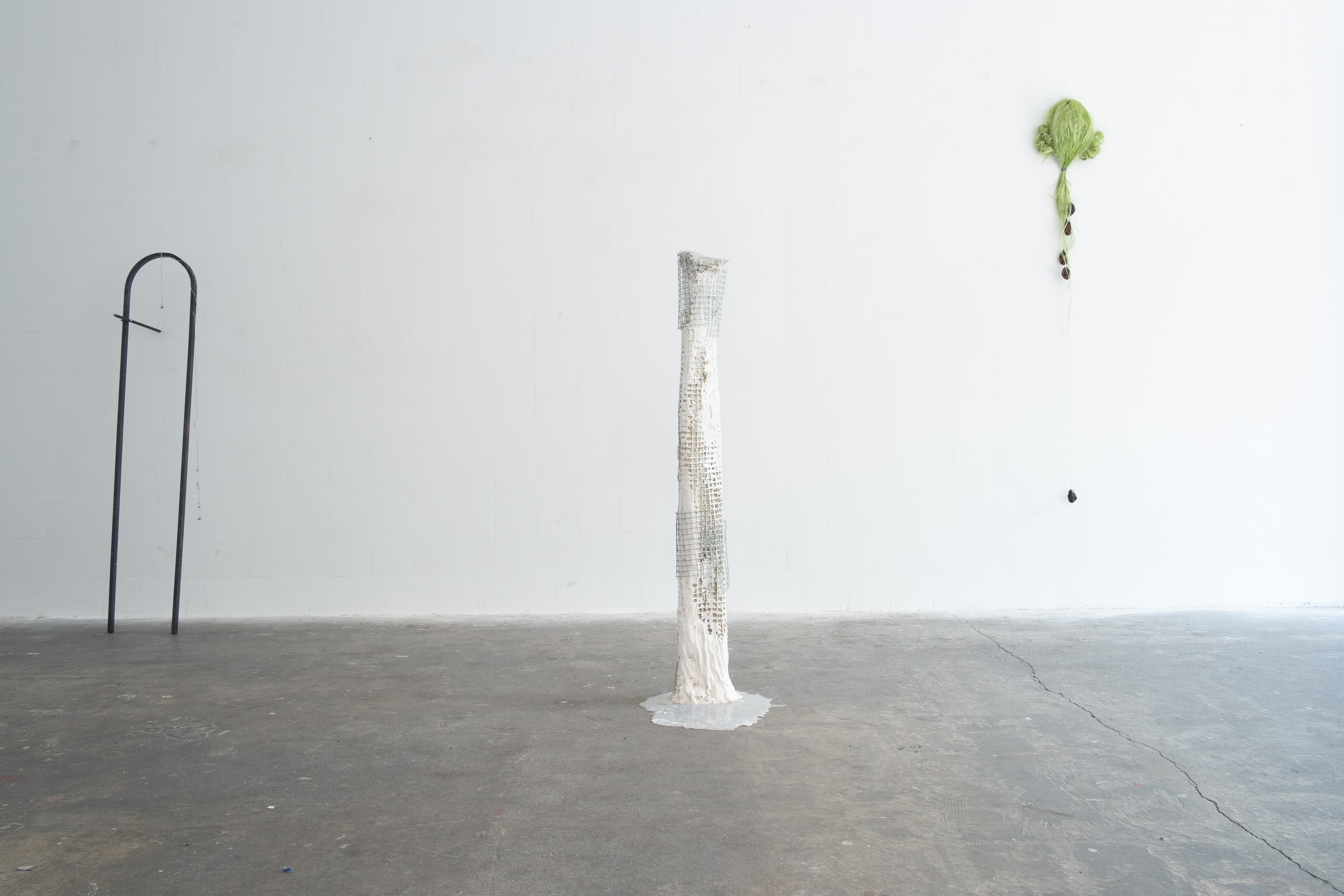 Installation view. Jasmine Pajdak