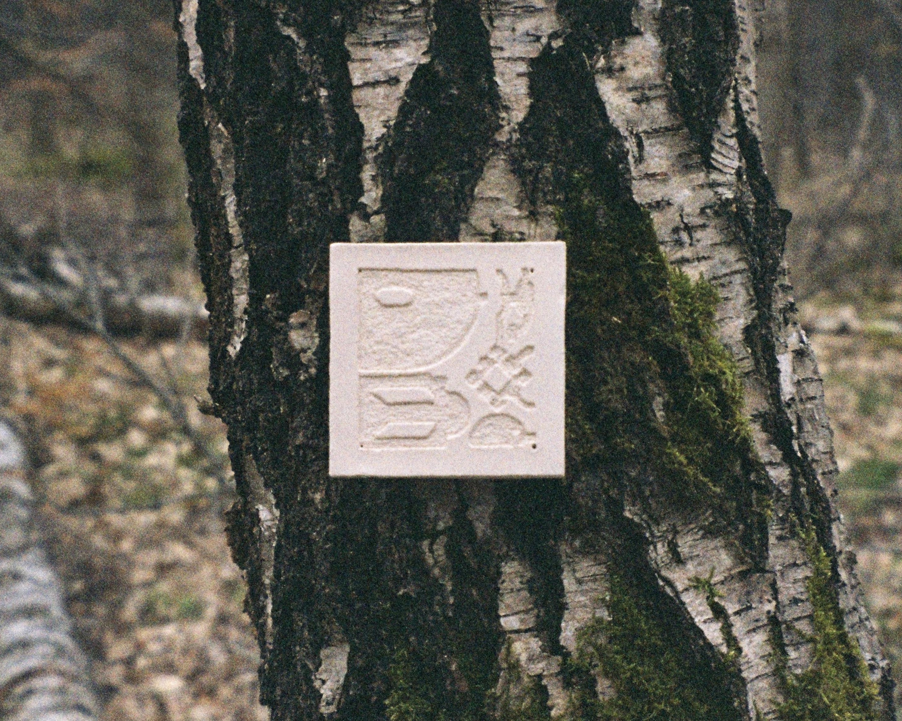 > Towards Moss Citizenship? [2023]