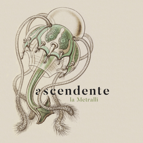 2019 | La Metralli - Ascendente (r+m)