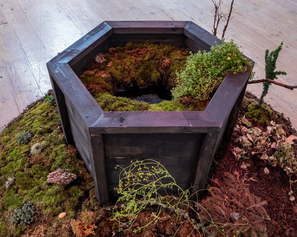 näckenswell - photo Kyra Kordoski.jpg