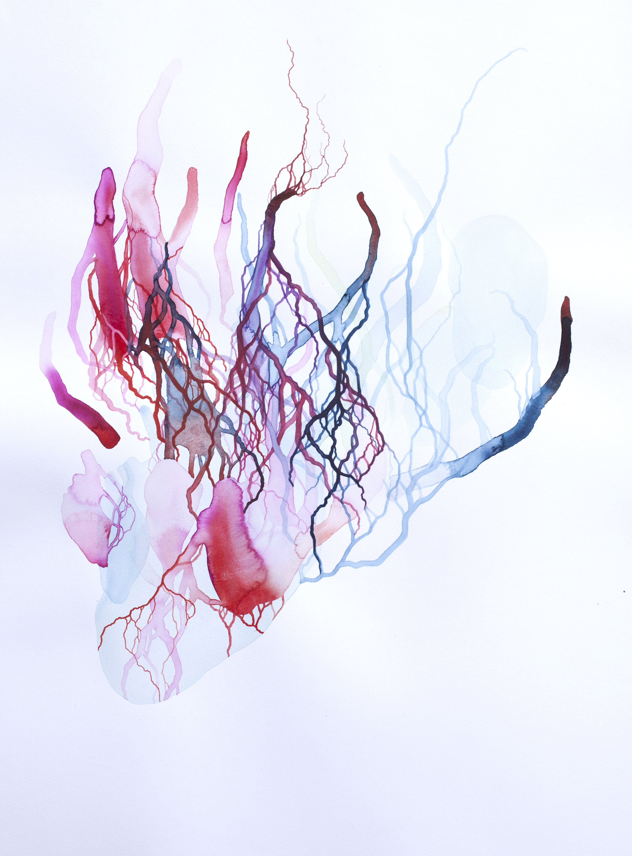 "Entraille d" (aquarelle, 59x80cm, d&eacute;but mars 2025)