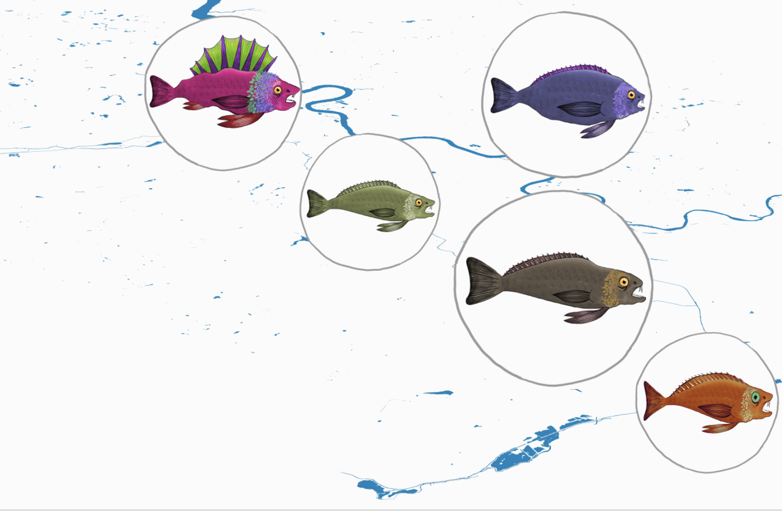 Fish distribution through the Thames