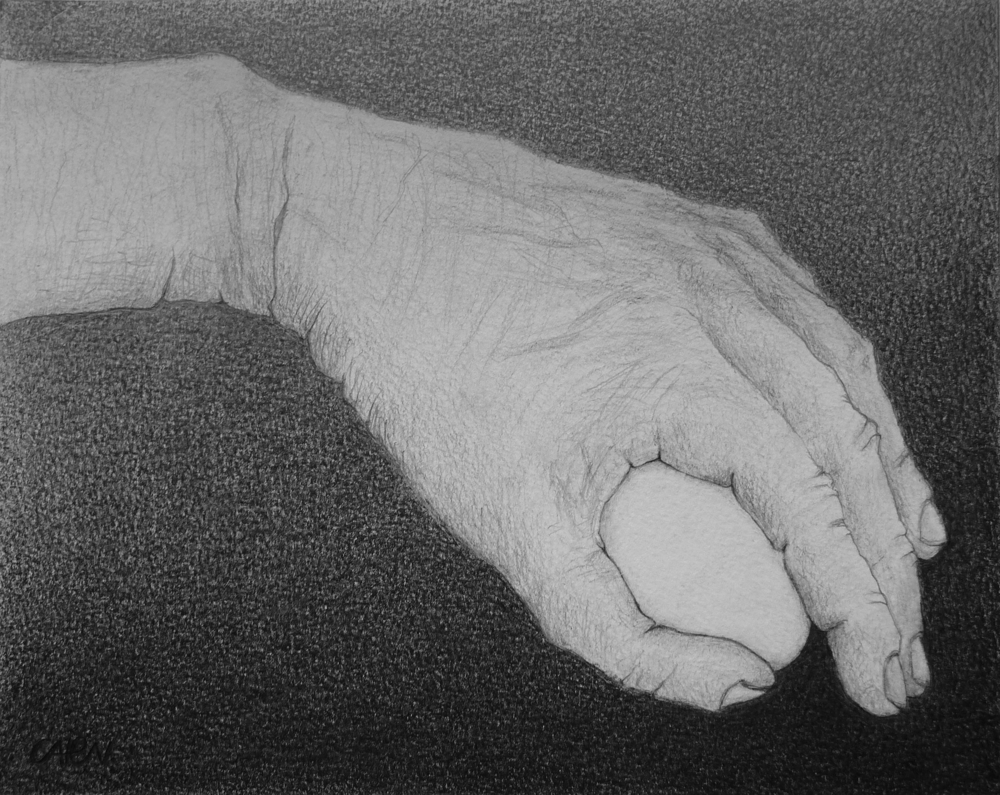 potlood op papier, 20 x 25 cm