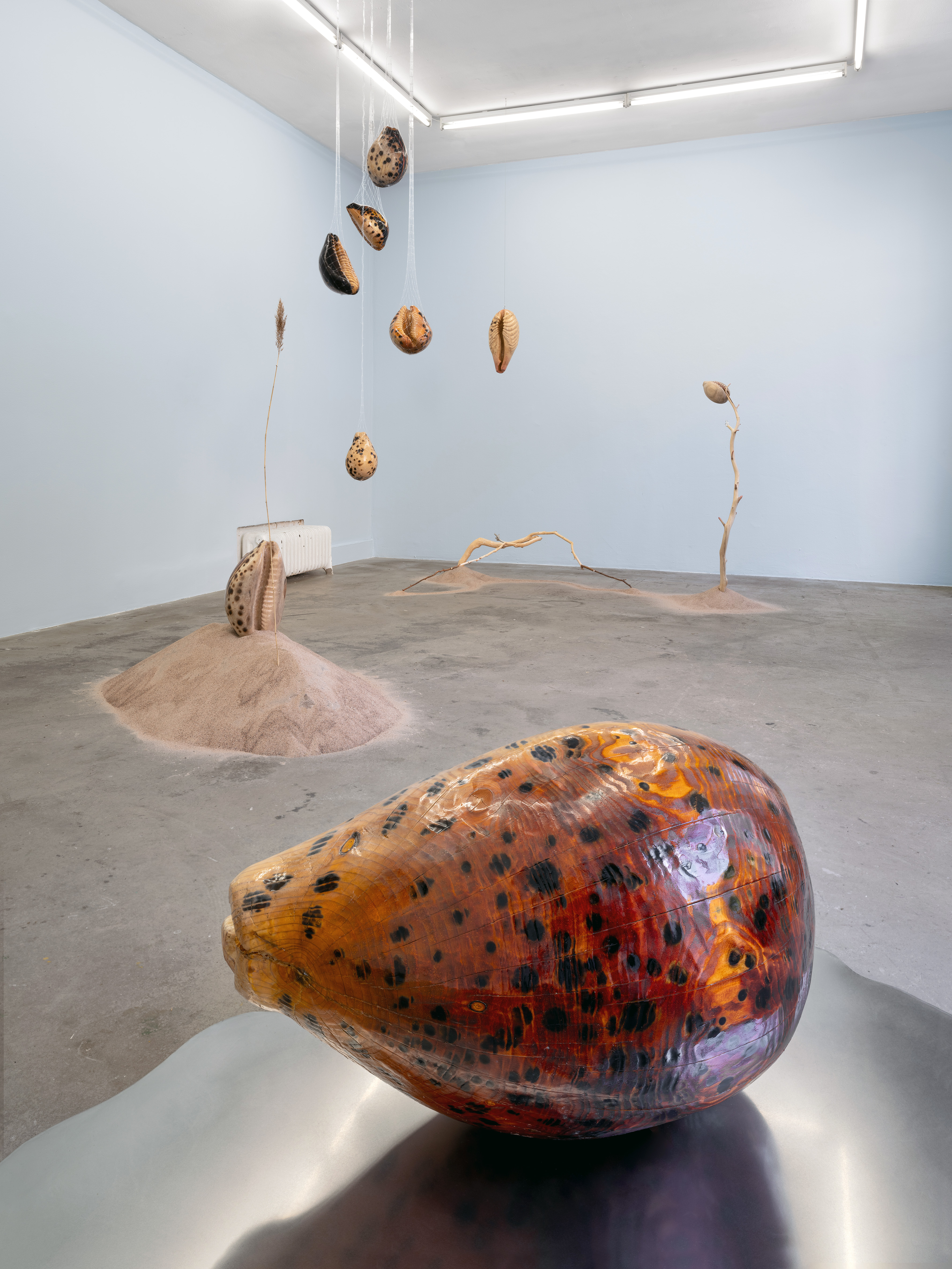 Tomorrow's forecast, white clouds grey dogs