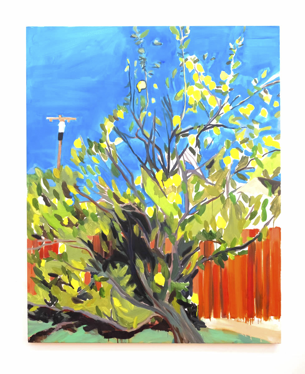 The lemon tree, Santa Monica, oil on linen, 60 x 48 inches, 2019