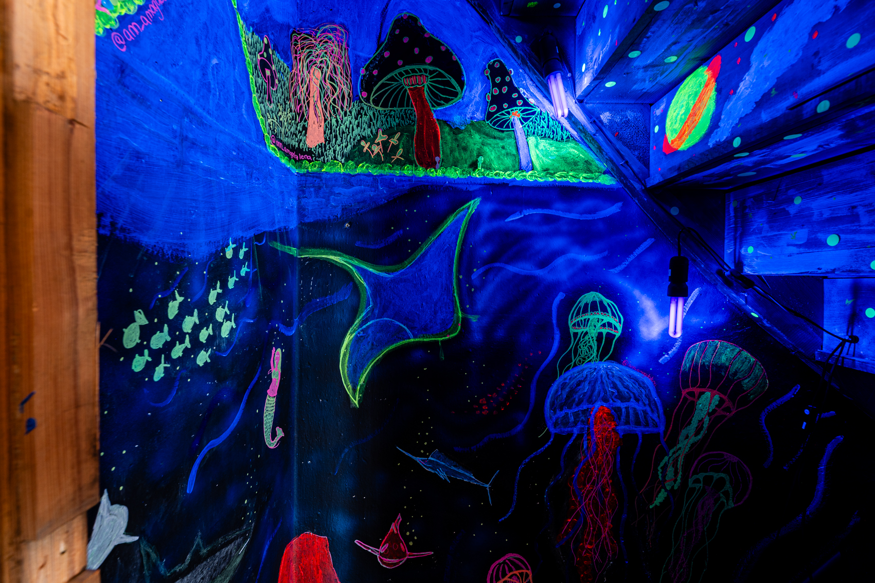 Bild 2 zu Kammer des Versteckens: Das Bild zeigt einen Teil der bemalten Wand im Inneren der Kammer. In dieser sind Malereien von Quallen, Pilzen, Planeten, Fischen auf blauem Hintergrund. Diese sind mit Schwarzlicht beleuchtet, sodass die Malereien in leuchtenden Farben zu sehen sind. 