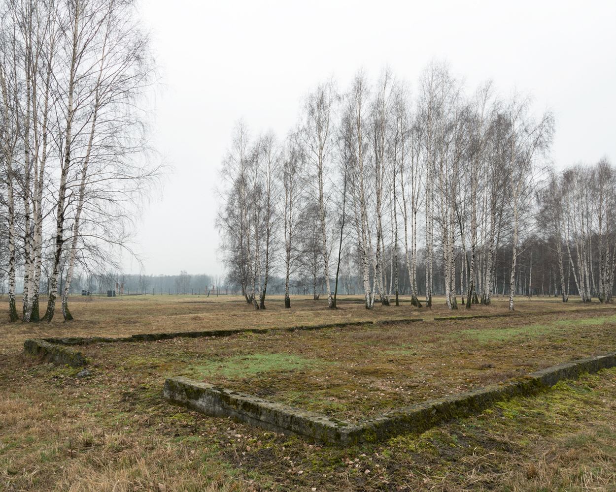 Camp Mexico (Auschwitz-Birkenau Memorial and Museum, Poland) (2016)