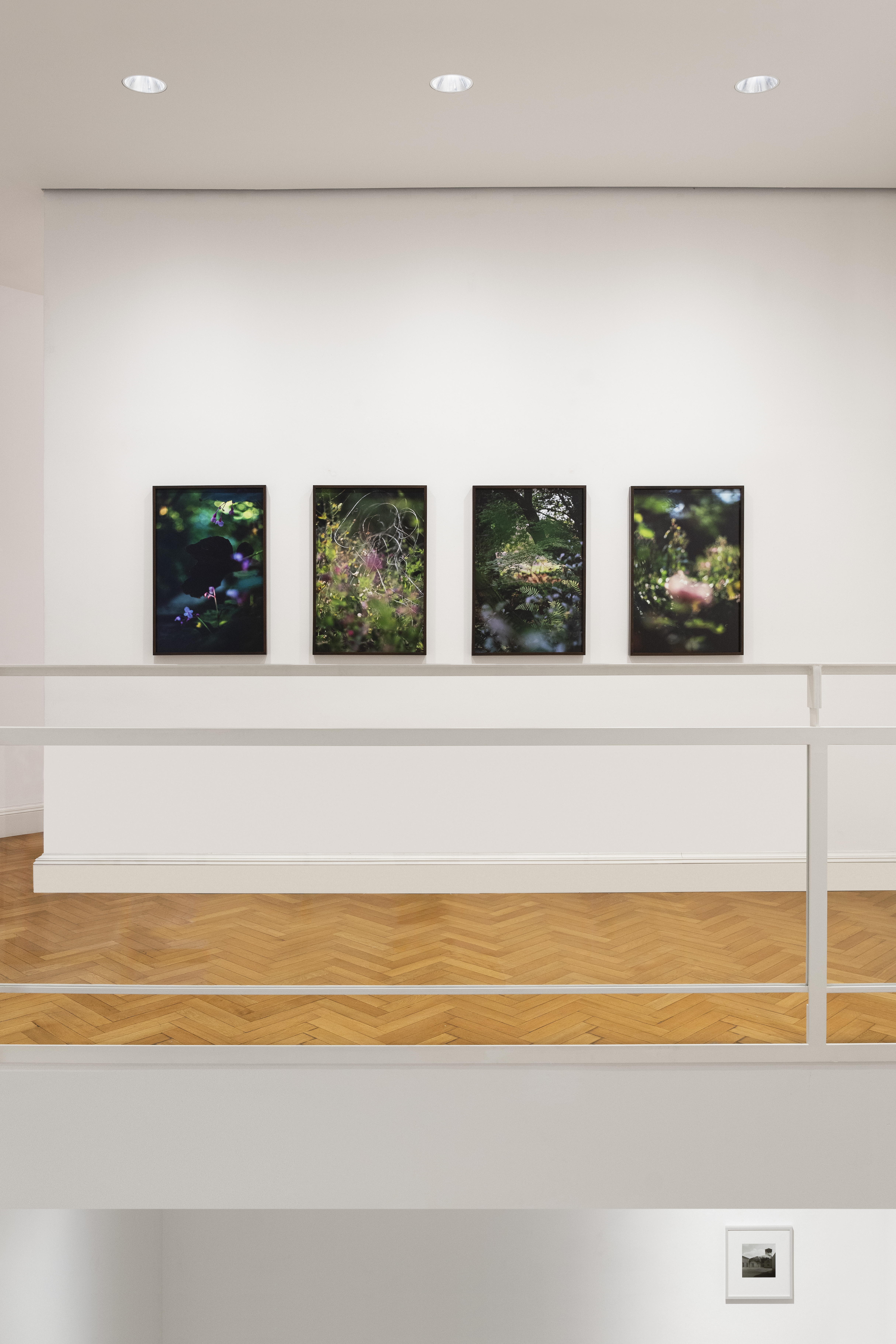 Installation view The Subject Matters, Viasaterna. Ph. Tiziano Ercoli