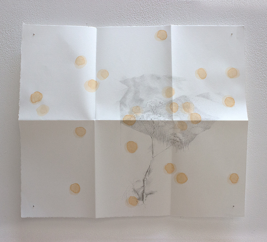 Studies for Cithaeron to Dhaktau, each drawing is 28cm x 24cm, pigment and graphite