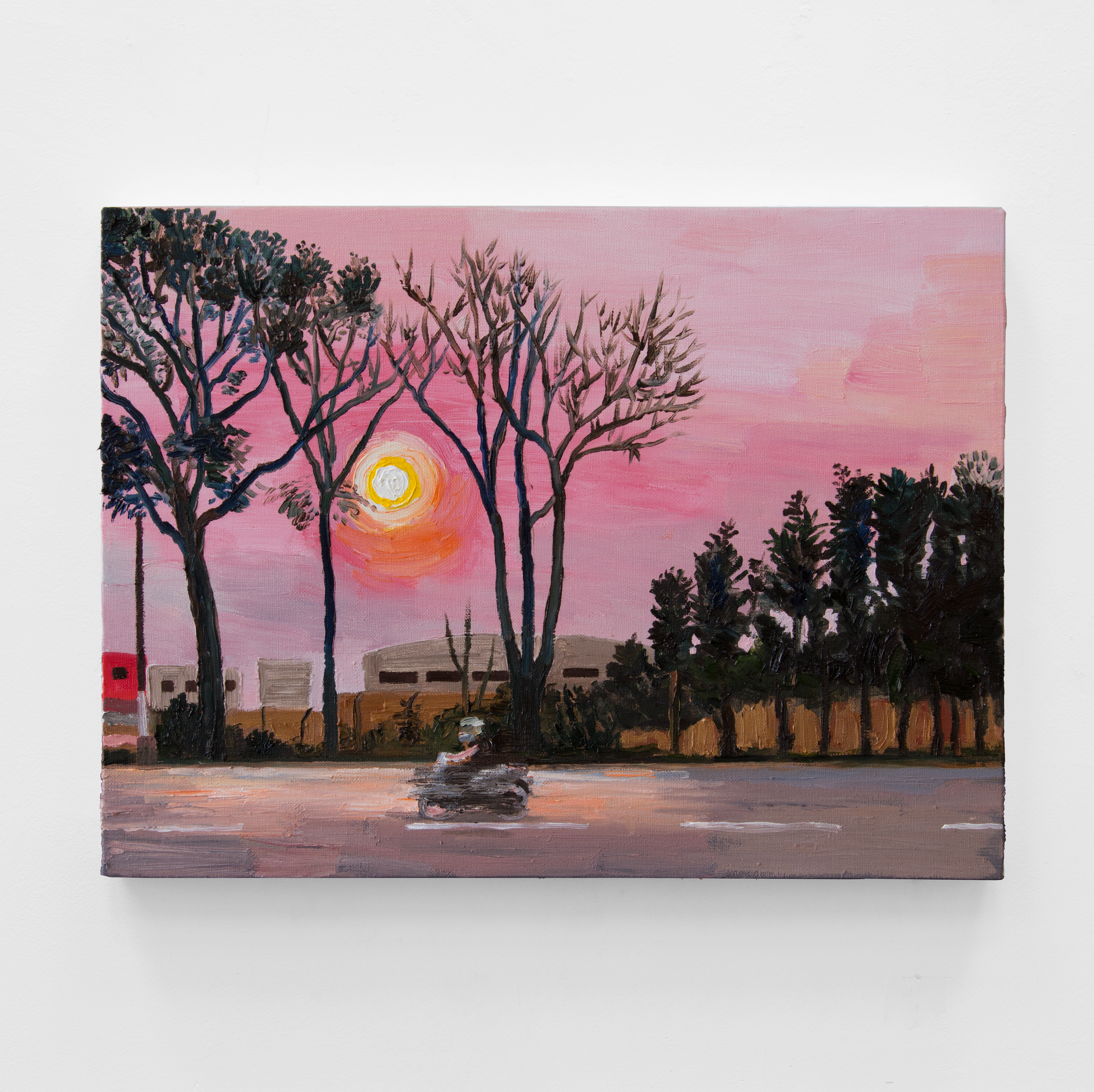 P&ocirc;r do sol, 2025&oacute;leo sobre tela30 x 40 cm