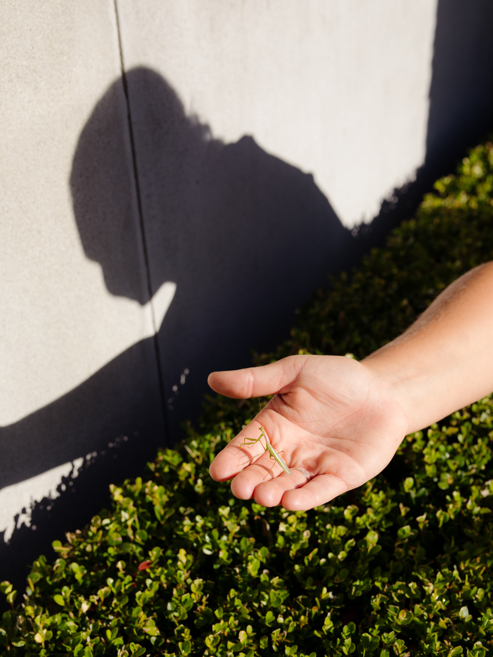 Humphrey's Landscaping