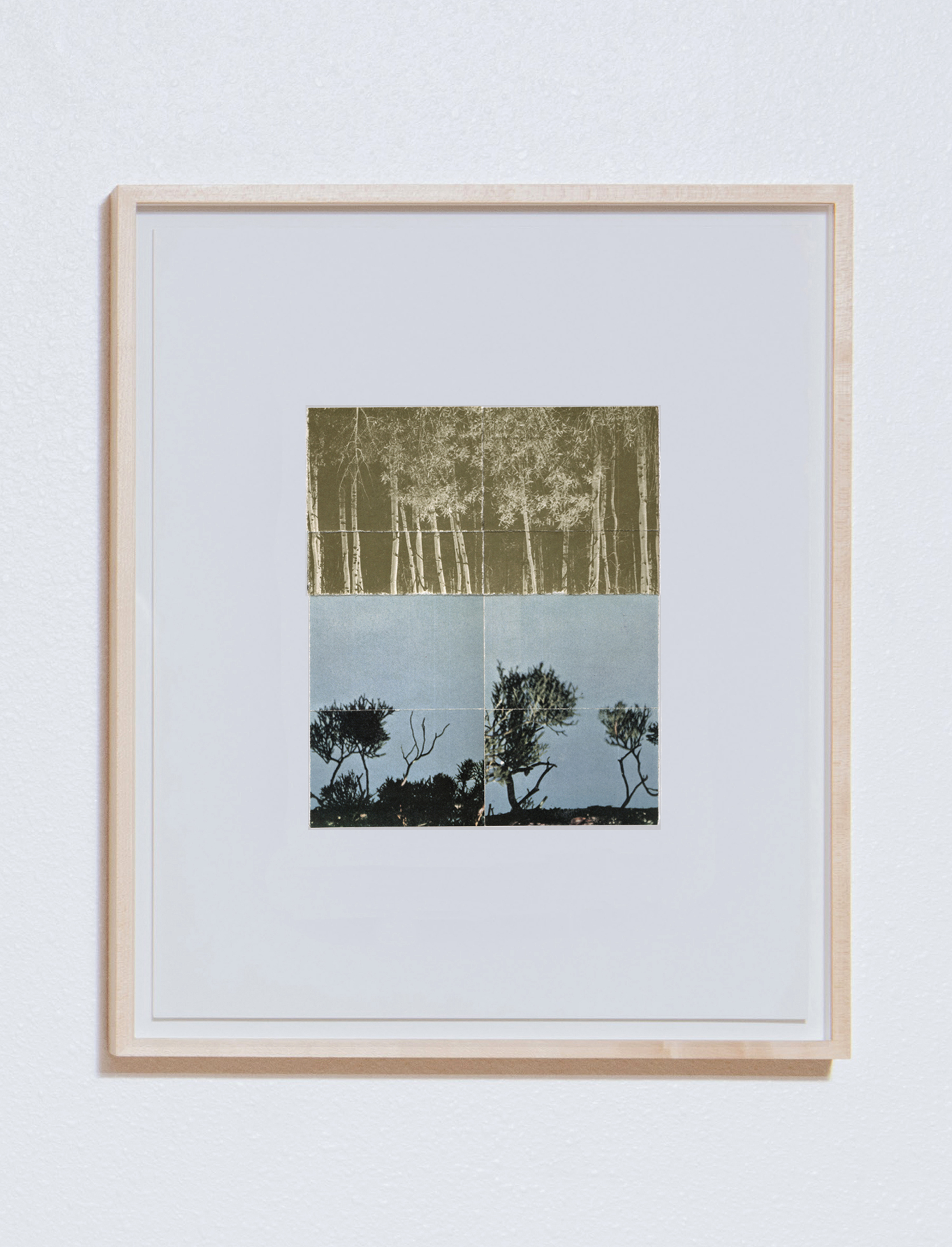 S21 (Collage 01), 18 x 15," maple float frame, $135/wk