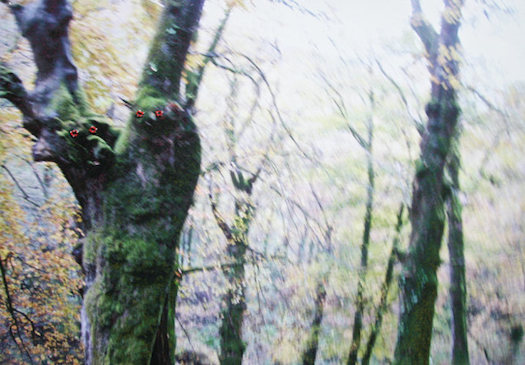 Surpris par la nuit [arbre-chien], 2009broderie sur photographie, 35 x 45 cm