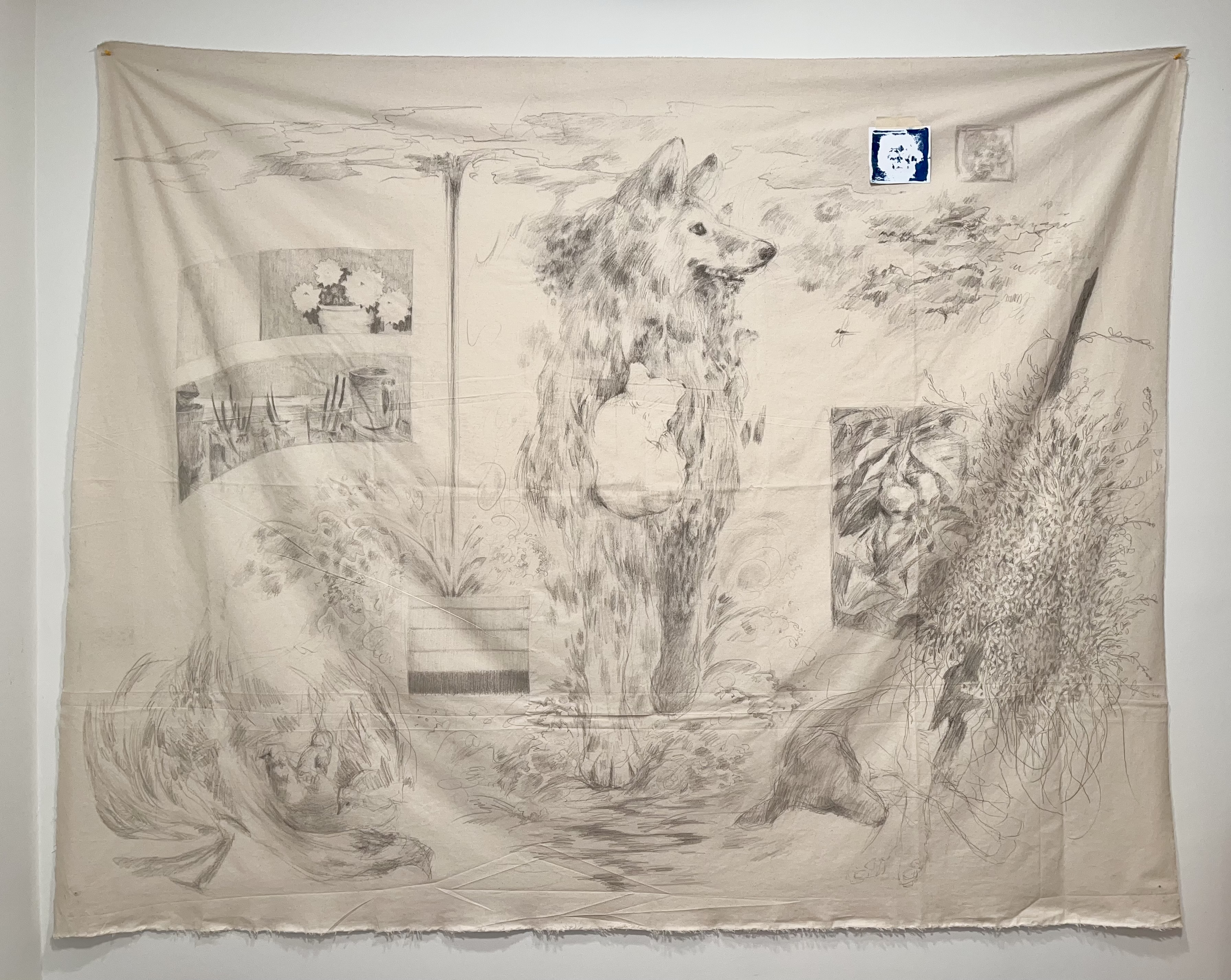 Floodwater Lassie (wandering puppy), 2022. Cyanotype on paper and graphite on canvas, approx. 54”x75”.
