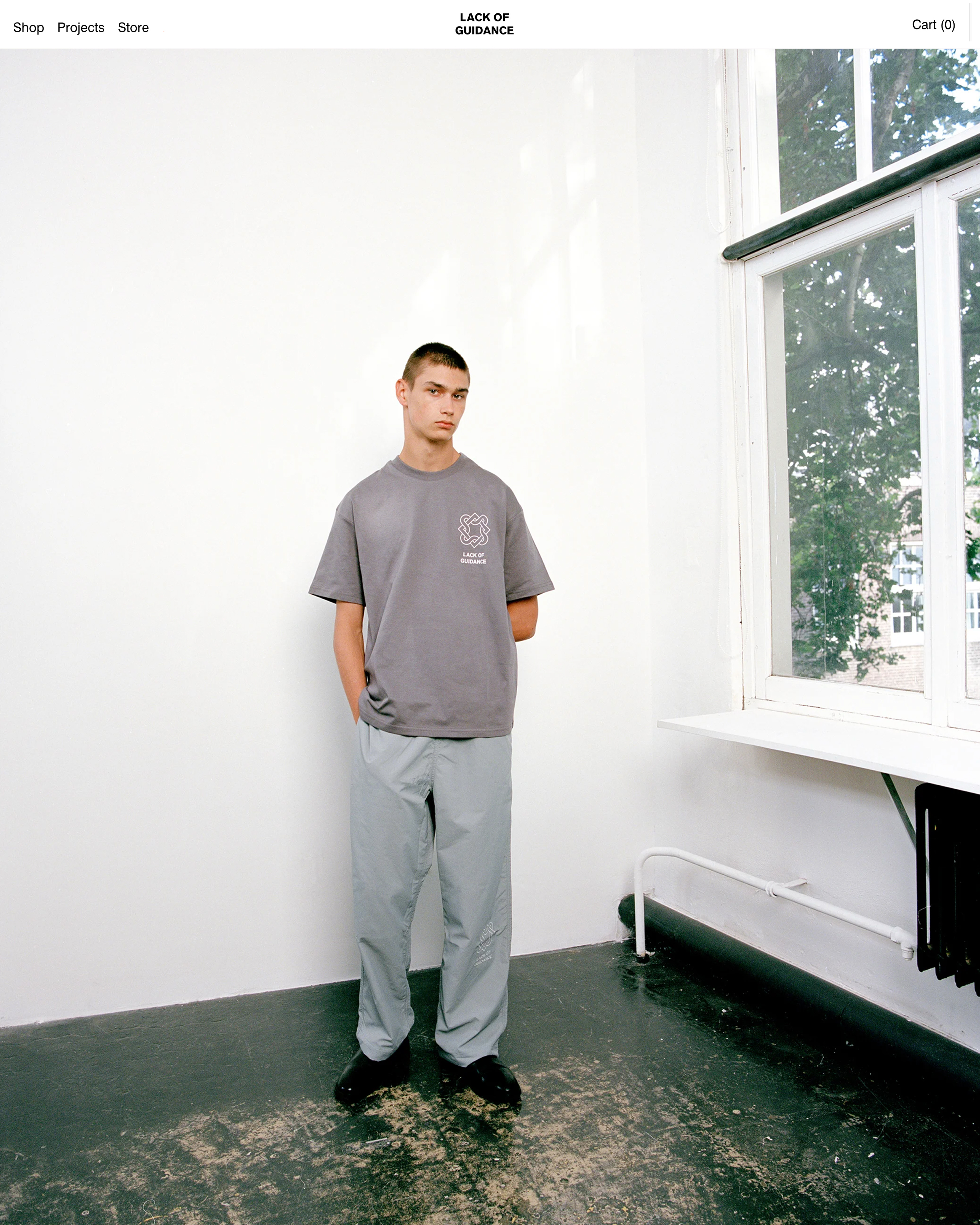 Lack of Guidance – www.lackofguidance.com