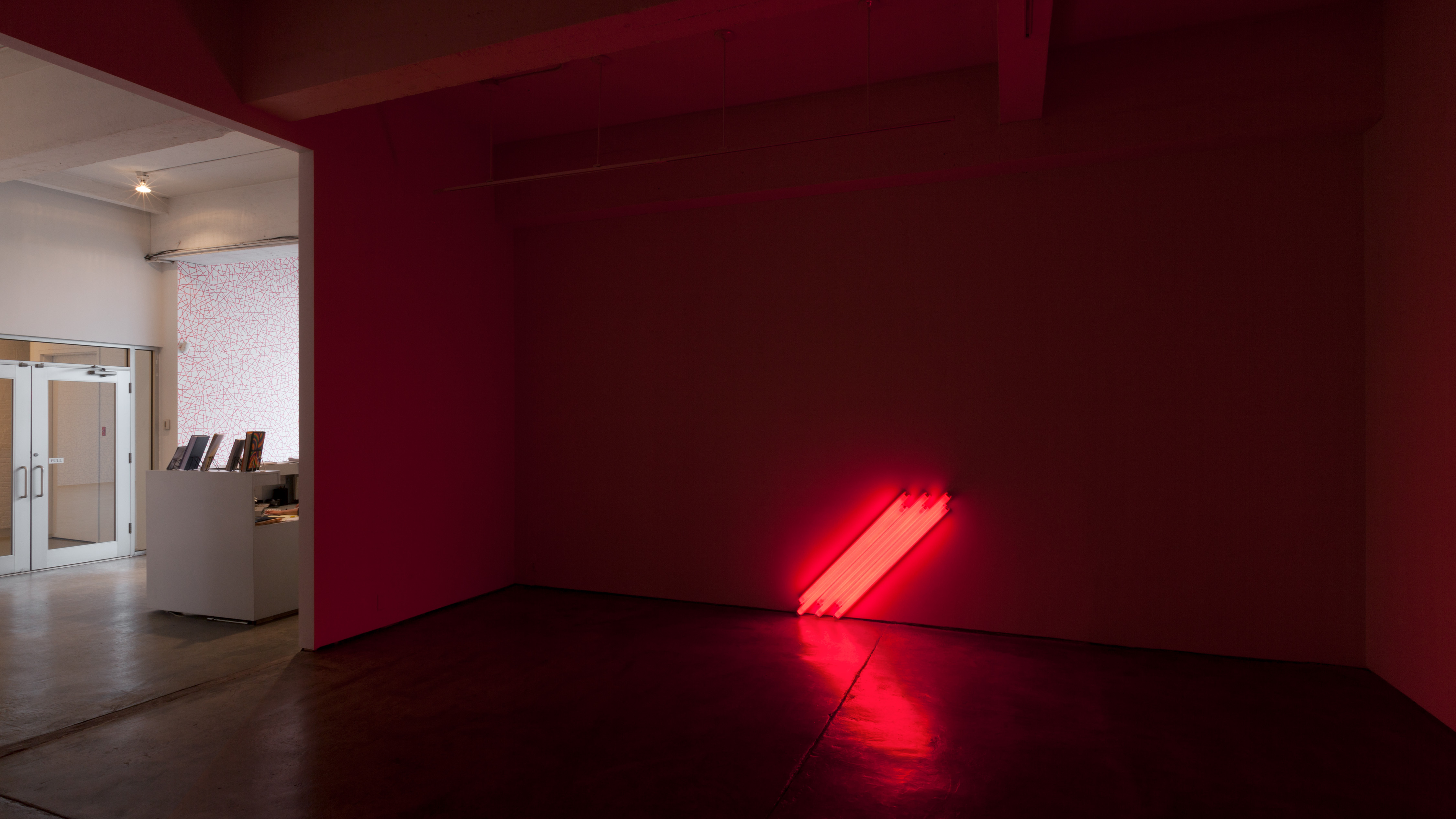 Dan Flavin / Paula Cooper Gallery