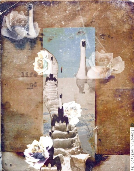 Elise Valdorcia Lorgeou