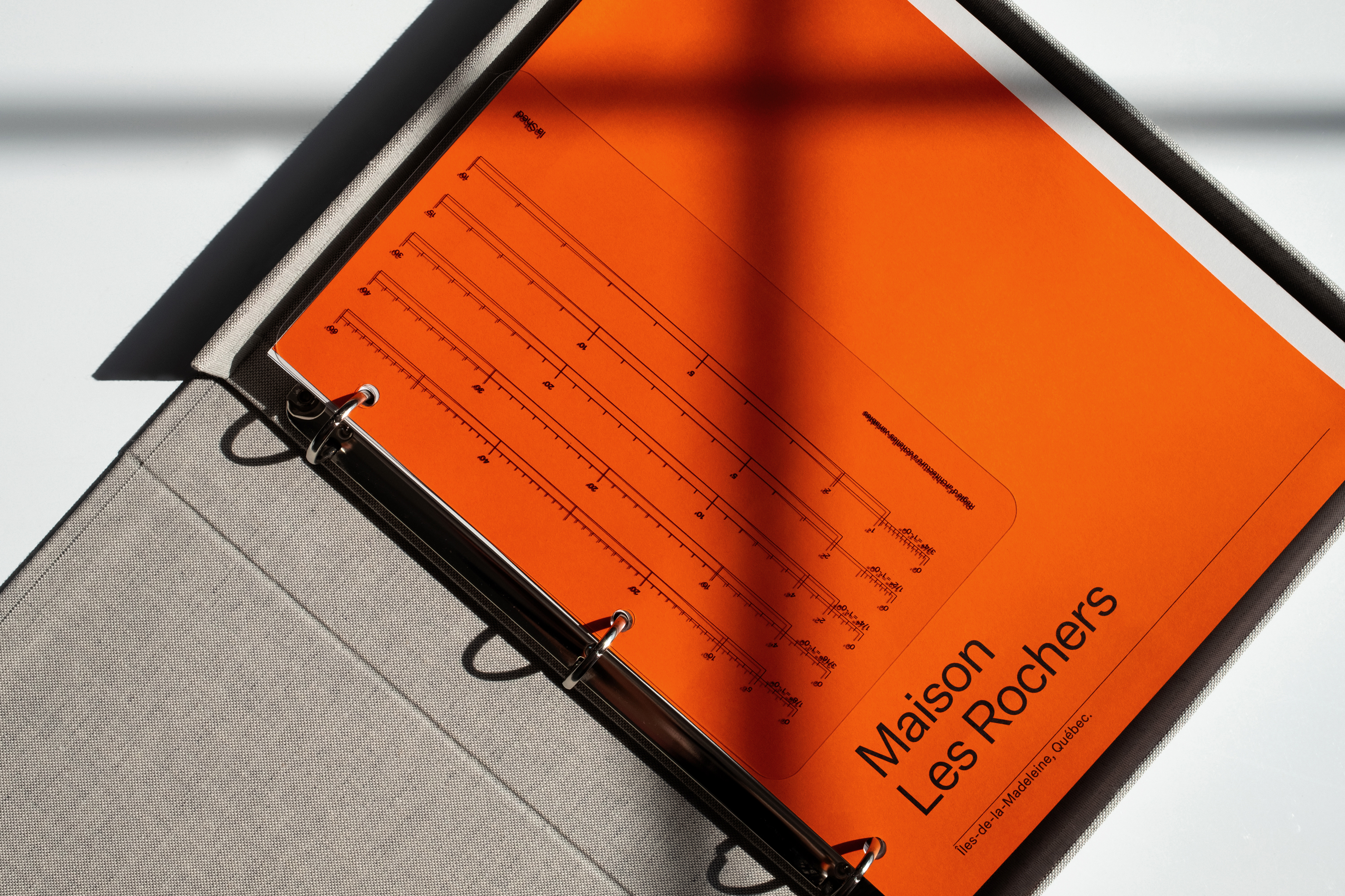 la Shed, Rebrand & Website. Designed at Principal