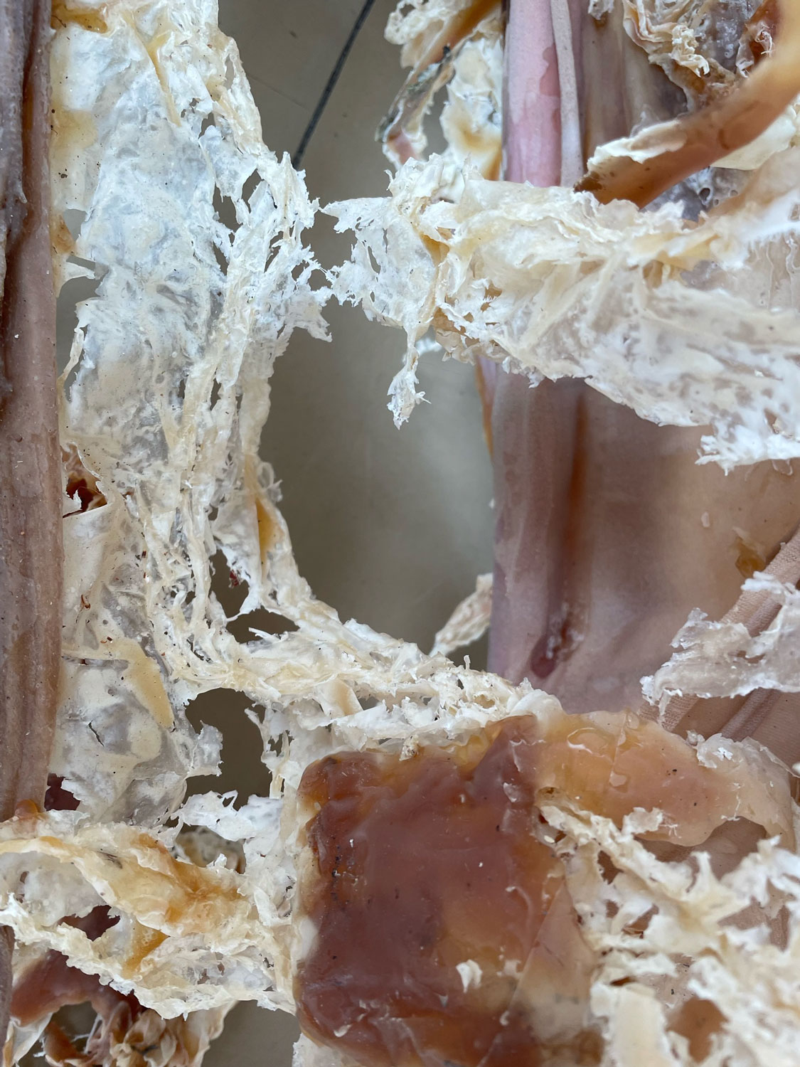 „07.03.2023“ - Acrylfarbe auf Metall, Nylon, Naturlatex - 90 x 45 x 135 cm - 2023