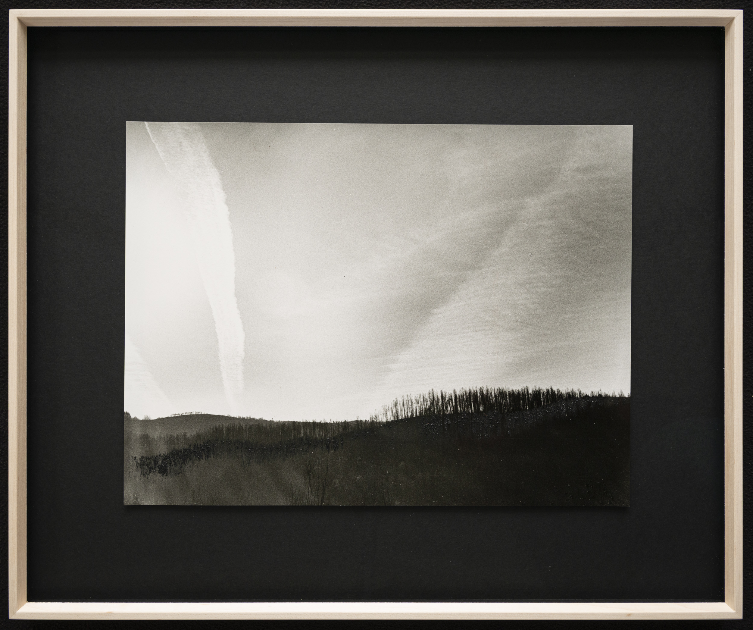 Horizon | Silver gelatin print with applied charcoal from their own woods | in frame | 48x58 cm | Portugal 2019