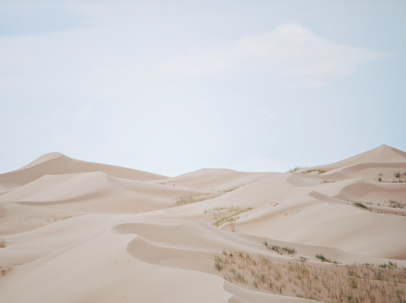Samalayuca 1/6