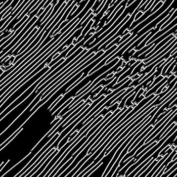 Reverberation  Media Art