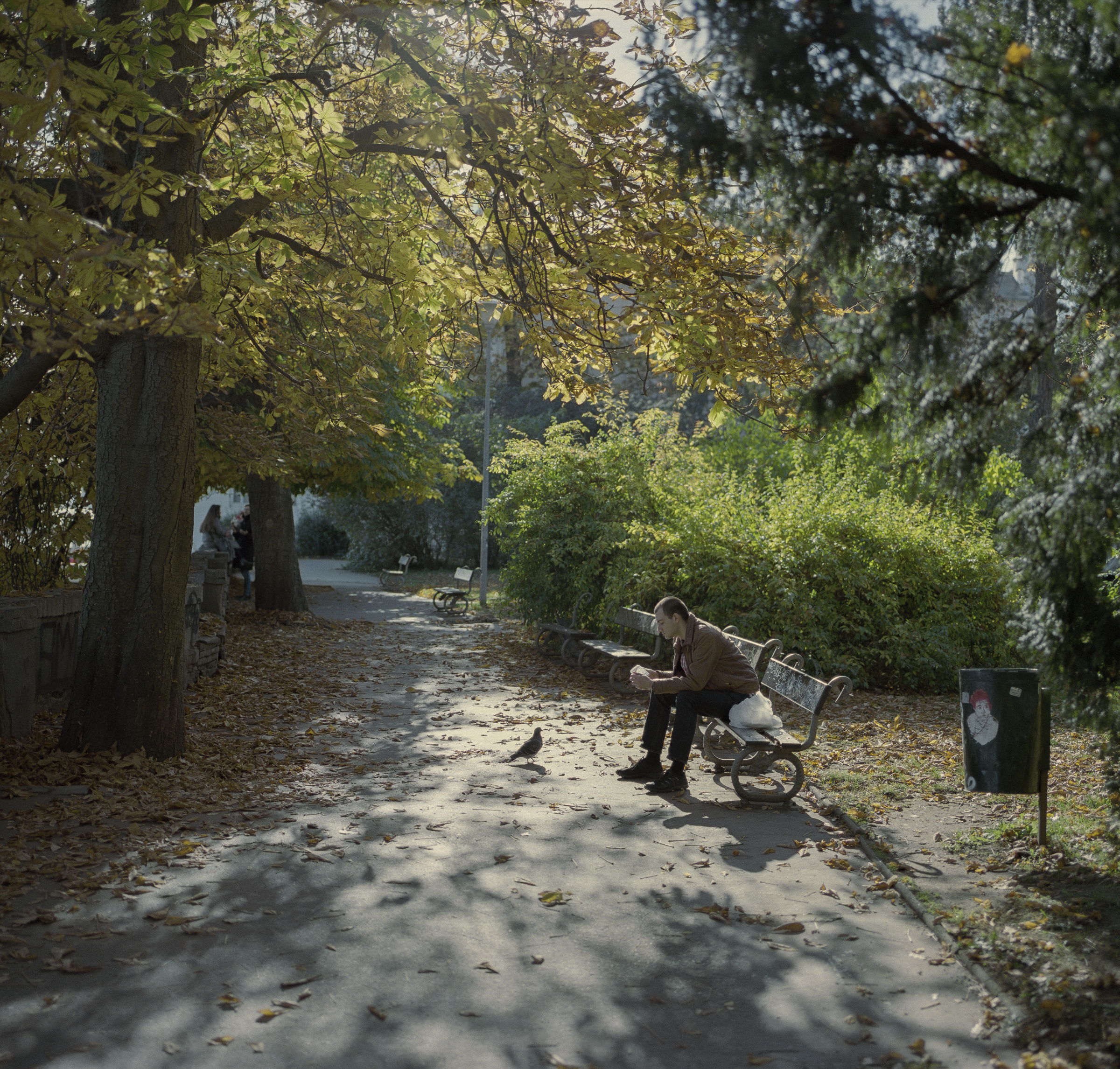 The Man And The Bird