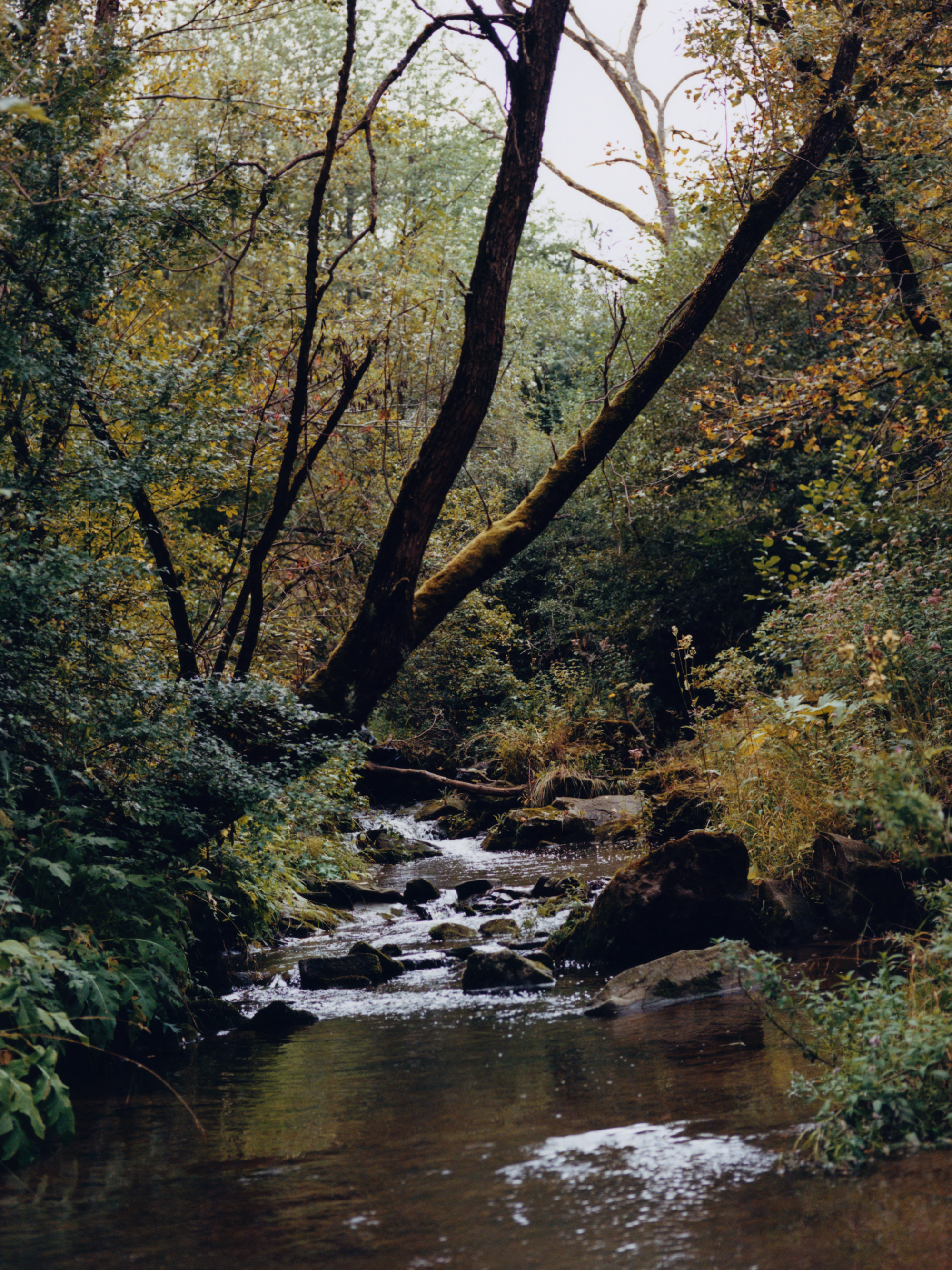 The Greatest Magazine,  7/13 